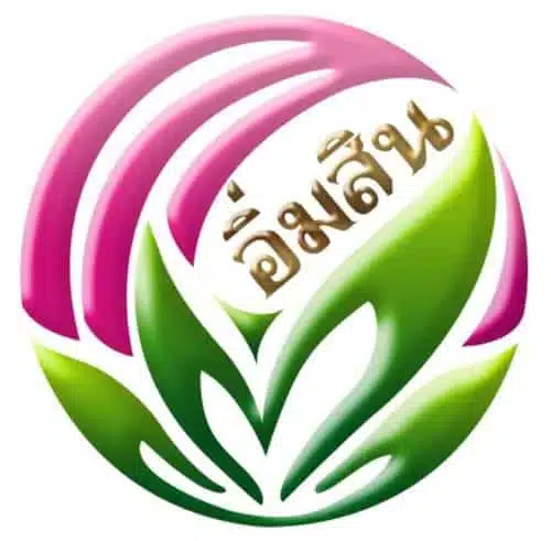 ลิ้นจี่ออร์แกนิค ต้องสวนลิ้นจี่อิ่มสิน คัดสรรลิ้นจี่พันธุ์ที่ดีที่สุดในประเทศไทย